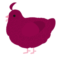 A maroon chicken with a double-lace pattern