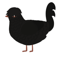 A sable and black chicken with a lace pattern