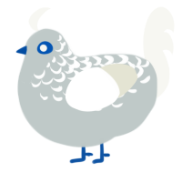 (unnamed), a silver and white chicken with a half-lace pattern