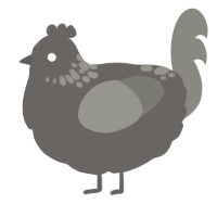 A grey and ash chicken with a neck-speckle pattern