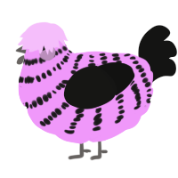 A lavender and black chicken with a bar pattern