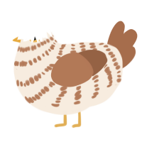 A cream and brown chicken with a bar pattern