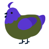 A olive and indigo chicken with a head pattern