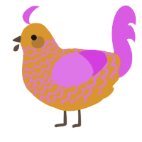 A orange and orchid chicken with a lace pattern