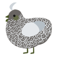 A grey and mist chicken with a double-lace pattern