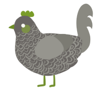 A grey and ash chicken with a double-lace pattern