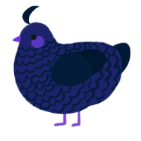A navy and tumblr chicken with a lace pattern