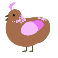 Blossom Seed, a brown and lavender chicken with a neck-speckle pattern