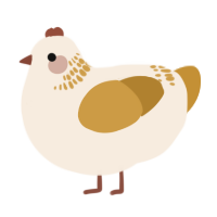 A cream and gold chicken with a neck-band pattern