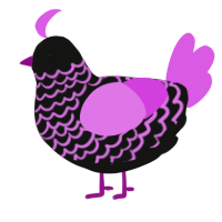 A black and orchid chicken with a lace pattern