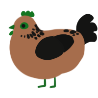 Speckle, a brown and black chicken with a neck-speckle pattern