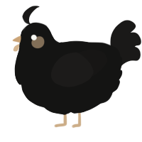 A black and sable chicken