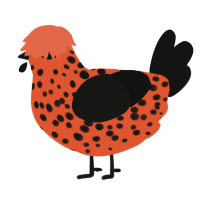 A vermilion and black chicken with a speckle pattern