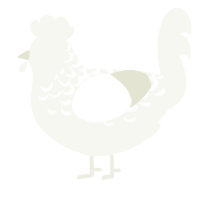 A white chicken with a half-lace pattern