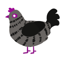 quite ace, a grey and black chicken with a bar pattern