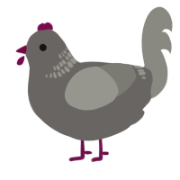 A grey and ash chicken with a neck-band pattern