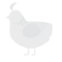A black and sable chicken with a neck-speckle pattern