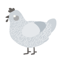 A mist chicken with a double-lace pattern