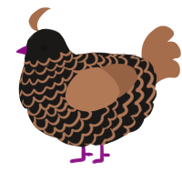 A sable and brown chicken with a lace pattern