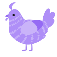 A lilac chicken with a bar pattern