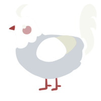 A mist and white chicken with a head pattern