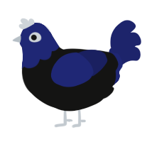 A black and navy chicken with a head pattern