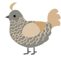 A ash and beige chicken with a lace pattern