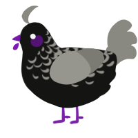 A black and ash chicken with a half-lace pattern