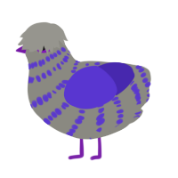 A ash and indigo chicken with a bar pattern