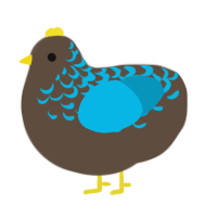 blue turd, a bark and cerulean chicken with a half-lace pattern