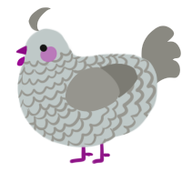 A silver and ash chicken with a lace pattern