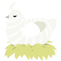 A white chicken with a bar pattern