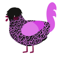 A black and orchid chicken with a double-lace pattern