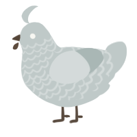 A silver chicken with a lace pattern