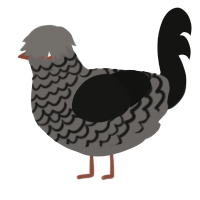 A grey and black chicken with a lace pattern