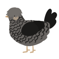 A grey and sable chicken with a lace pattern