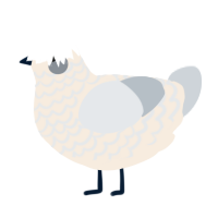 A cream and mist chicken with a lace pattern