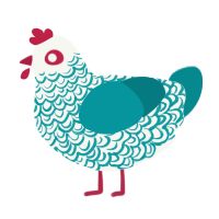 Linhay, a white and teal chicken with a double-lace pattern