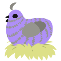 A lilac and ash chicken with a bar pattern