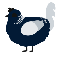 A tumblr and mist chicken with a neck-band pattern
