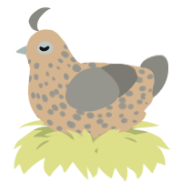 A beige and ash chicken with a speckle pattern