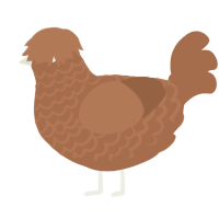 A brown chicken with a lace pattern