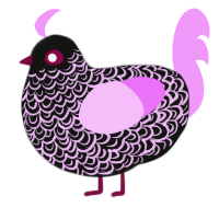 Starship, a black and lavender chicken with a double-lace pattern