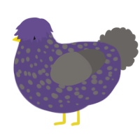 A overcast and grey chicken with a speckle pattern