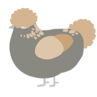 A ash and beige chicken with a neck-speckle pattern