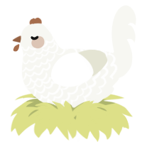 A white chicken with a lace pattern