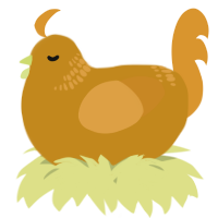 A ochre and orange chicken with a neck-band pattern