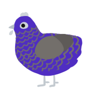 Diego, a indigo and grey chicken with a lace pattern