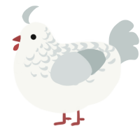 (unnamed), a white and silver chicken with a half-lace pattern