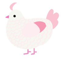 A white and rose chicken with a lace pattern